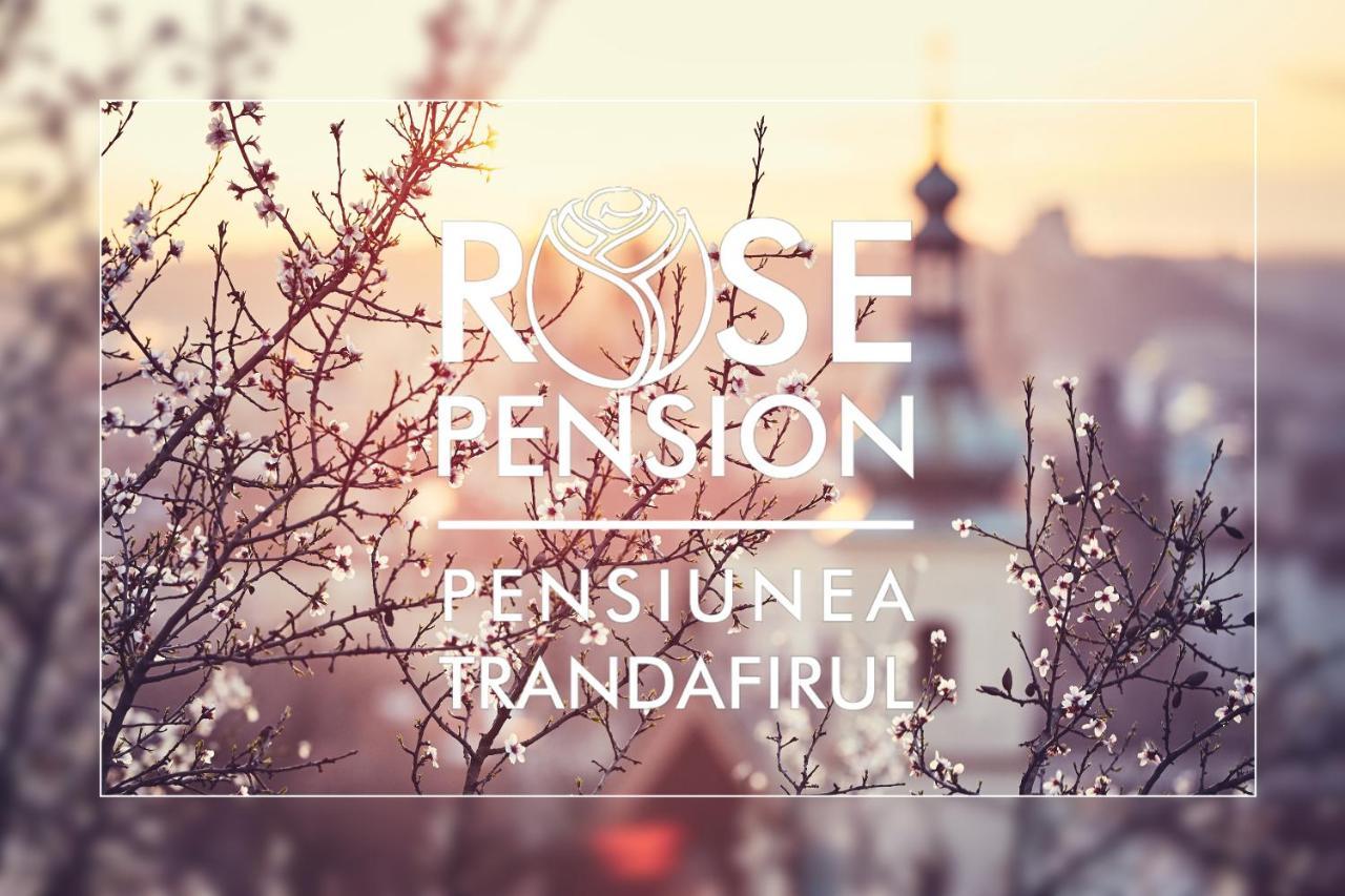 Pension Rose-Trandafirul Borsec Ngoại thất bức ảnh